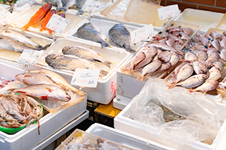 市場で仕入れた旬の食材や厳選された食材などを使用し造られる創作和食